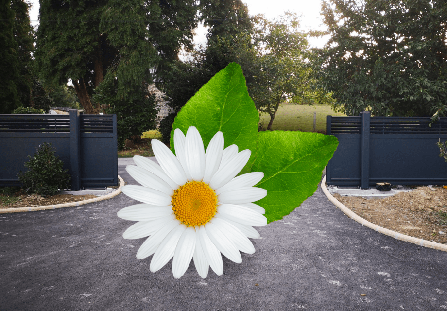 Les engagements écoresponsables de Portaleco